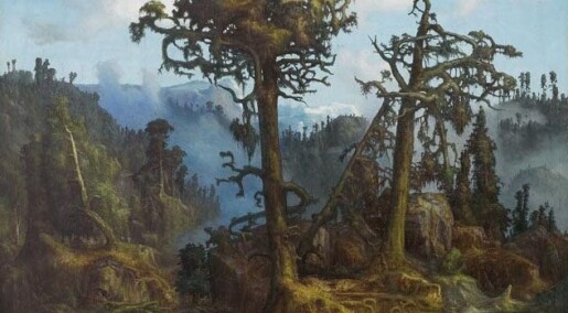 Er vi i ferd med å glemme hvordan skogen egentlig ser ut? Er vi i ferd med å glemme hvordan skogen egentlig ser ut?