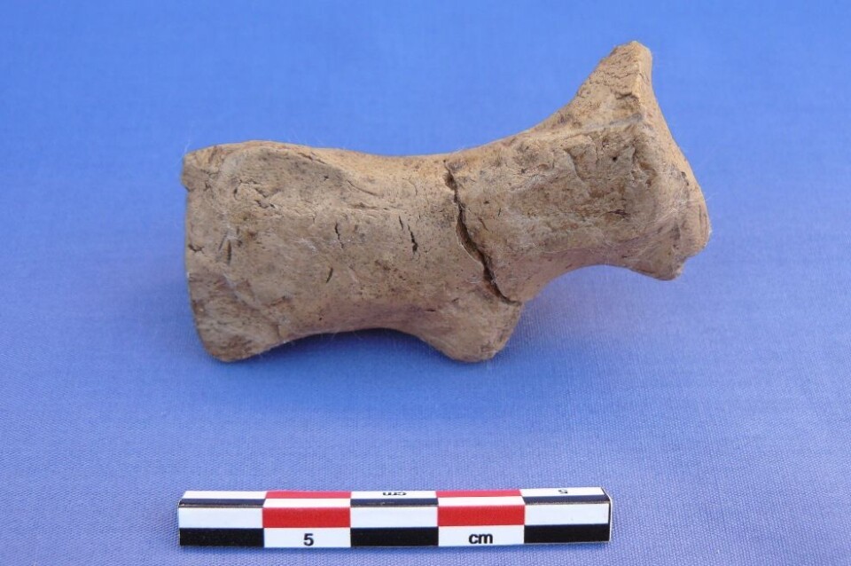 Den lille leirfiguren er fra samme sted og er like gammel som kornrestene de tyske forskerne har funnet. (Foto: TISARP/University of Tübingen)