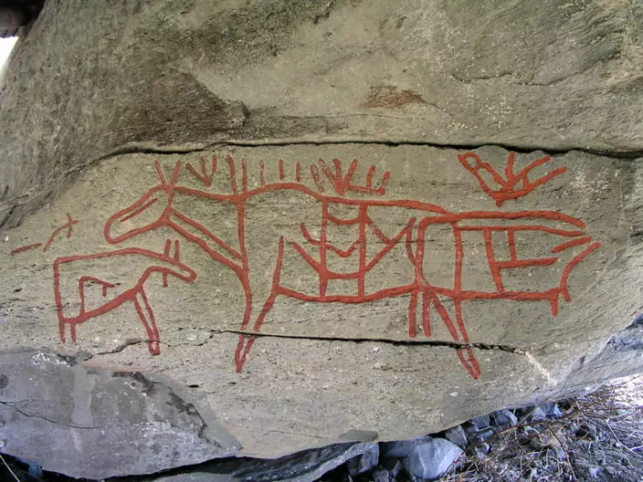 Helleristning fra Moelv fra eldre steinalder, det vil si 2-3000 år før vår tidsregning. (Foto: Wikimedia)
