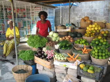 Grønnsakmarkedet i Cocotier i Cotonou. (Foto: May-Guri Sæthre)