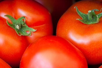 (Illustrasjonsfoto: iStockphoto) (Illustrasjonsfoto: iStockphoto)