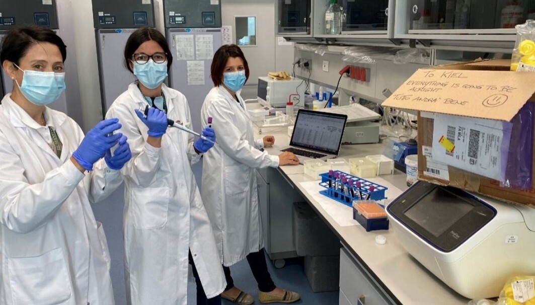 Her er helse-ingeniørene i Milano klare til å sende over bokser med prøver som skal analyseres av andre ingeniører i Kiel. På boksen hilser teamet i Milano sine kolleger med: «Everything is Going to Be Alright» I koronakrisen har det vært en dugnadsånd og en åpenhet i forskningen som jeg ikke har sett før, forteller Tom Hemming Karlsen. Her er helse-ingeniørene i Milano klare til å sende over bokser med prøver som skal analyseres av andre ingeniører i Kiel. På boksen hilser teamet i Milano sine kolleger med: «Everything is Going to Be Alright» I koronakrisen har det vært en dugnadsånd og en åpenhet i forskningen som jeg ikke har sett før, forteller Tom Hemming Karlsen.