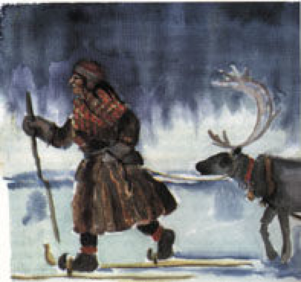 'I 1988 ble Nordisk Samisk Kvinneorganisasjon stiftet, her representert gjennom en illustrasjon av Sanne Sihm. Sko, klesdrakt og ski er de samme som på det 100 år eldre bildet «Setesdalsjente på ski» 1889 av Carl Hansen (bildet under). I de to bildene uttrykkes det norske og det samiske med samme symboler.'