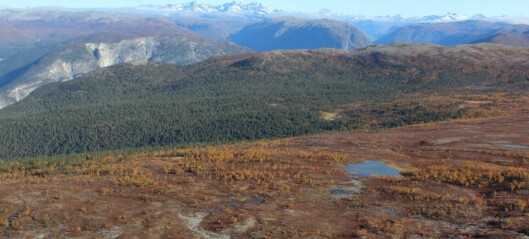 Vannet i norske innsjøer er blitt brunere, men allikevel bedre