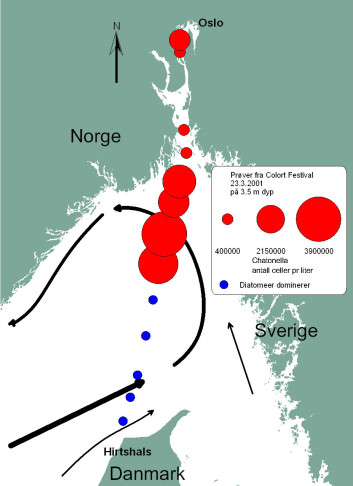 "Prøver tatt langs Color Festivals rute 23. mars 2001 viste oppblomstringen av algen Chatonella. Størrelsen på de røde sirklene viser konsentrasjonen av algen. De minste røde sirklene tilsvarer 400 000 celler per liter, de største tilsvarer 3 900 000 celler per liter. " "Prøver tatt langs Color Festivals rute 23. mars 2001 viste oppblomstringen av algen Chatonella. Størrelsen på de røde sirklene viser konsentrasjonen av algen. De minste røde sirklene tilsvarer 400 000 celler per liter, de største tilsvarer 3 900 000 celler per liter. "