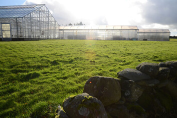 Veksthus på Bioforsk Vest Særheim. (Foto: Kjerstin Gjengedal) Veksthus på Bioforsk Vest Særheim. (Foto: Kjerstin Gjengedal)