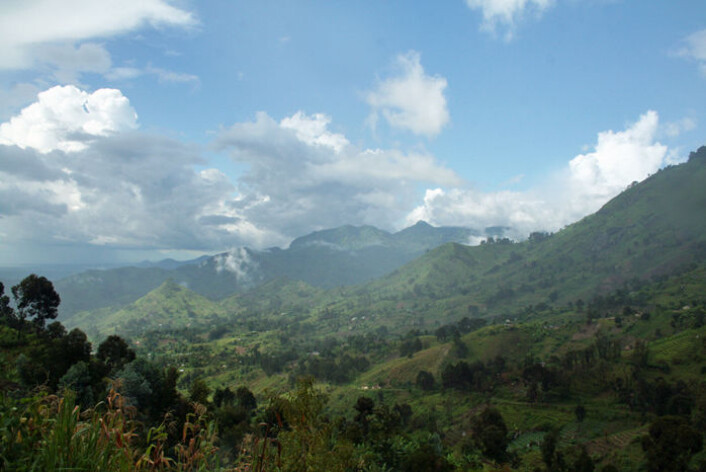 Avskoging er et problem mange steder i Tanzania. Mesteparten av skogen er tørr skog, ikke regnskog. Bilder viser de regnrike Uluguru-fjellene nær byen Morogoro der det også finnes regnskog. (Foto: Asle Rønning) Avskoging er et problem mange steder i Tanzania. Mesteparten av skogen er tørr skog, ikke regnskog. Bilder viser de regnrike Uluguru-fjellene nær byen Morogoro der det også finnes regnskog. (Foto: Asle Rønning)