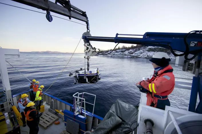 På tokt med AUR-Lab i Trondheimsfjorden. Fra forskningsfartøyet Gunnerus settes undervannsroboten (ROV) Minerva ut og sendes ned til havbunnen. (Foto: Geir Johnsen/NTNU AUR-Lab)