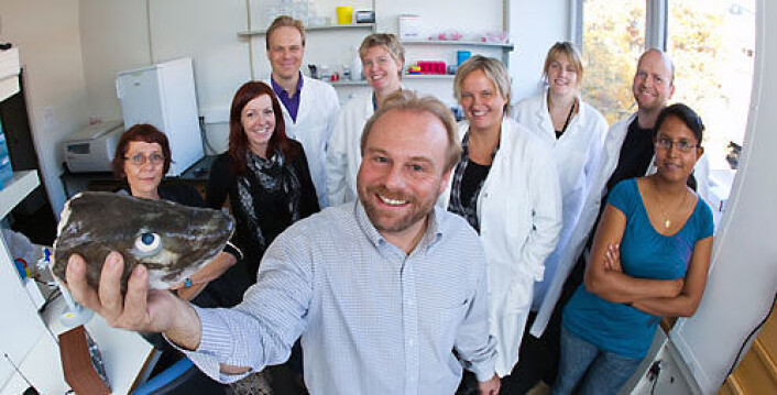 Professor Kjetill S. Jakobsen med (deler av) hoved"personen" i nevene, og forskerteamet bak. (Foto: Olav Heggø) Professor Kjetill S. Jakobsen med (deler av) hoved"personen" i nevene, og forskerteamet bak. (Foto: Olav Heggø)