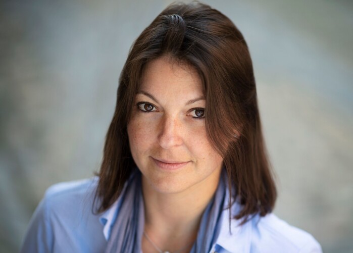 Arianna Minoretti fra Statens vegvesen sier at også mange andre land enn Norge, som Italia og Sør-Korea, har fagmiljøer som ser rørbru som et alternativ til tradisjonelle bruer. Arianna Minoretti fra Statens vegvesen sier at også mange andre land enn Norge, som Italia og Sør-Korea, har fagmiljøer som ser rørbru som et alternativ til tradisjonelle bruer.