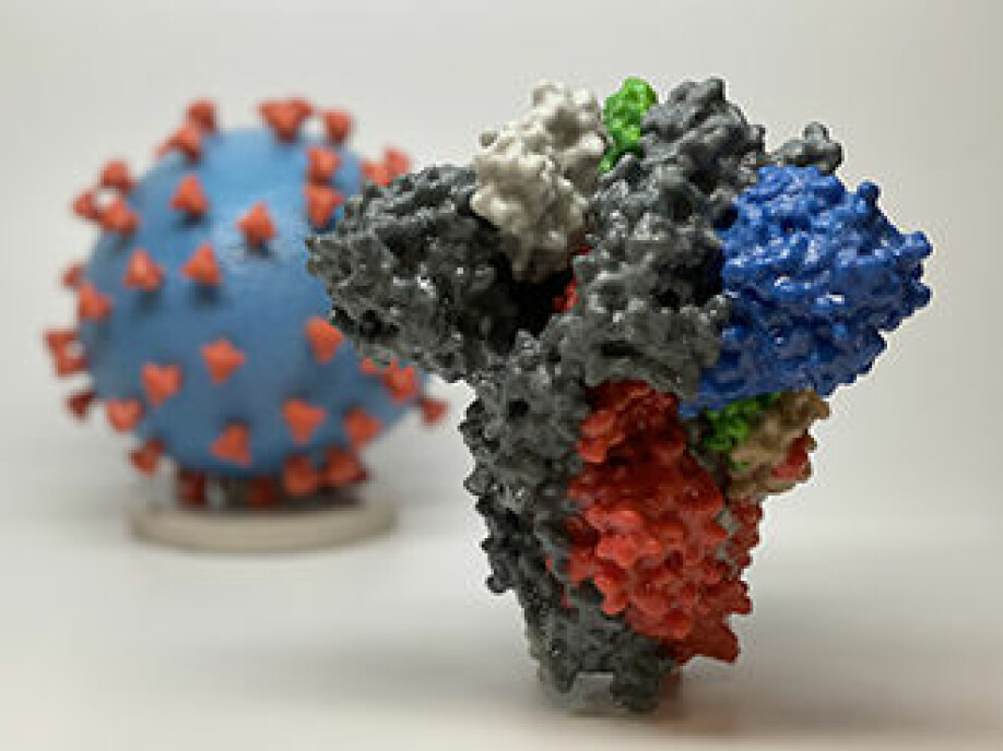 I mange illustrasjoner av koronaviruset er spikeproteinet vist i rødt. Her ser du en mer detaljert 3D print av spikeproteinet.