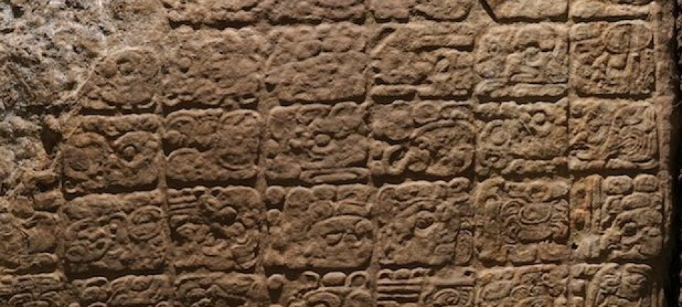 På denne steinblokken fortelles historien om da Jaguarpote kom til La Corona, for 1300 år siden. David Stuart