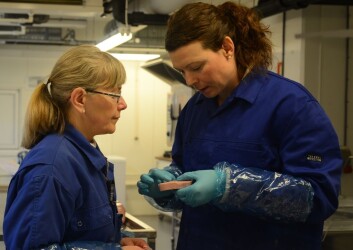 Marte Schei (t.v.) og Kirsti Greiff undersøker natriuminnholdet i kokt skinke laget av Espeland på Jæren. (Foto: Sintef) Marte Schei (t.v.) og Kirsti Greiff undersøker natriuminnholdet i kokt skinke laget av Espeland på Jæren. (Foto: Sintef)