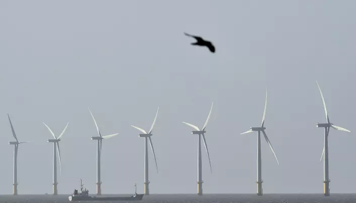 Snart skal det bygges vindparker på Doggerland - den tapte delen av Europa. Hva betyr det for sporene etter folk som ligger under Nordsjøen?