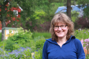Prosjektleiar Susanne Friis Pedersen ved Bioforsk Økologisk. (Foto: Anita Land) Prosjektleiar Susanne Friis Pedersen ved Bioforsk Økologisk. (Foto: Anita Land)