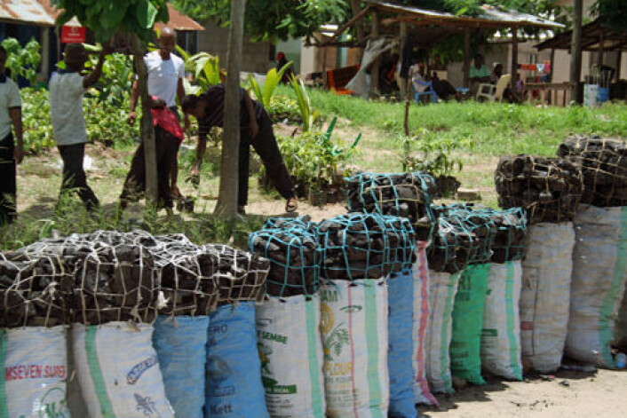 Trekull selges langs veiene i Tanzania. Produksjon av trekull er en viktig årsak til avskoging og er strengt regulert. Trekull som selges kan ofte være produsert ulovlig. (Foto: Asle Rønning) Trekull selges langs veiene i Tanzania. Produksjon av trekull er en viktig årsak til avskoging og er strengt regulert. Trekull som selges kan ofte være produsert ulovlig. (Foto: Asle Rønning)