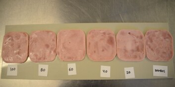 Skinkebiter med ulikt natriuminnhold: Salt gir bedre smak, holder på vann og konserverer mat. Dagens skinke helt til høyre. (Foto: Sintef) Skinkebiter med ulikt natriuminnhold: Salt gir bedre smak, holder på vann og konserverer mat. Dagens skinke helt til høyre. (Foto: Sintef)