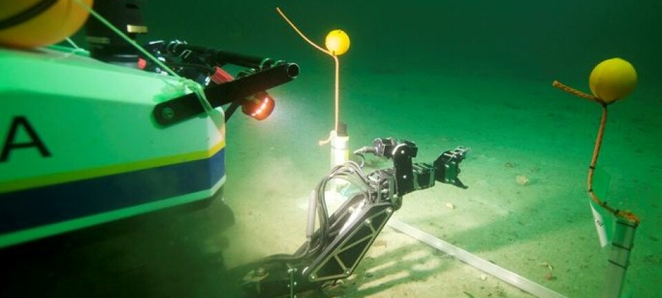 Her fra åpningsdagen av AUR-Lab hvor undervannsroboten Minerva fikk oppdraget med snorklipping – under vann. Jussi Evertsen/NTNU AUR-Lab