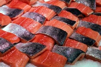 En ny EU-undersøkelse viser at overvekt og fedme rammer ca. halvparten av voksne og 14 prosent av barn i alderen 11-15 år. Over tretti millioner mennesker har diabetes, og mer enn halvparten av dem vil antagelig dø av hjerte- og karsykdommer eller hjerneslag. (Illustrasjonsfoto: www.colourbox.no) En ny EU-undersøkelse viser at overvekt og fedme rammer ca. halvparten av voksne og 14 prosent av barn i alderen 11-15 år. Over tretti millioner mennesker har diabetes, og mer enn halvparten av dem vil antagelig dø av hjerte- og karsykdommer eller hjerneslag. (Illustrasjonsfoto: www.colourbox.no)