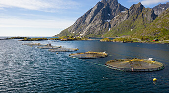 Kan norsk sjømat redde verden?