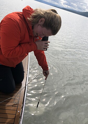 Niva-forsker Helene Frigstad bruker en hvit Secchi-skive festet til et tau for å måle hvor mørkt det er i vannet. Niva-forsker Helene Frigstad bruker en hvit Secchi-skive festet til et tau for å måle hvor mørkt det er i vannet.