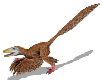 "Deinonychus, ikke i Jurassic Park-utgave, akkurat. " "Deinonychus, ikke i Jurassic Park-utgave, akkurat. "