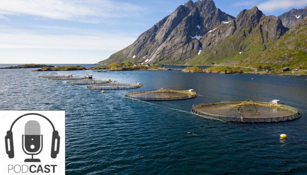 Trenger vi mer mat fra havet for å mette verdens voksende befolkning eller er global inntektsfordeling det største problemet? Trenger vi mer mat fra havet for å mette verdens voksende befolkning eller er global inntektsfordeling det største problemet?