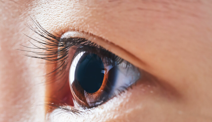 Pupillen er det sorte hullet i midten av øyet.
