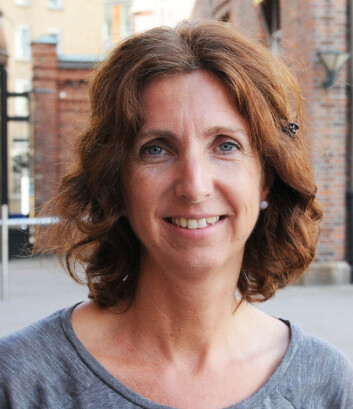 Karin Hesseberg. (Foto: HiOA) Karin Hesseberg. (Foto: HiOA)