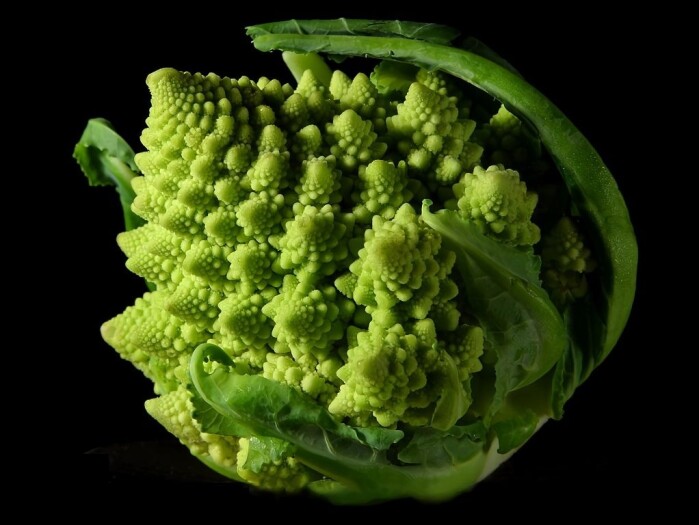 .. og romanesco-kål kan sies å være fraktale. .. og romanesco-kål kan sies å være fraktale.