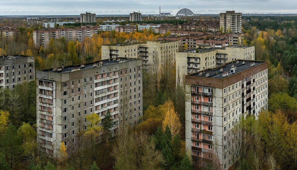 Her har ingen bodd siden april 1986. Skogen er i ferd med å ta over spøkelsesbyen Pripyat. I bakgrunnen kan du se kuppelen som er bygd over ruinen etter Tsjernobyl-kraftverket. Den hindrer mer radioaktiv stråling i å komme ut.