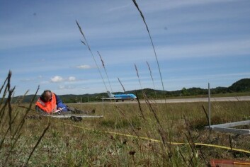 I 2008 fikk Bioforsk i oppdrag av Avinor om å gjøre registrering av biologisk mangfold langs søndre rullebaneende. (Foto: Ellen Svalheim) I 2008 fikk Bioforsk i oppdrag av Avinor om å gjøre registrering av biologisk mangfold langs søndre rullebaneende. (Foto: Ellen Svalheim)