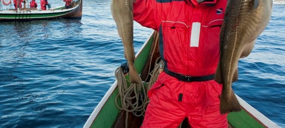 Stolt fisketurist på skreifiske i Nord-Norge. Det nye systemet gjør det enkelt for han å rapportere inn fangsten sin. Ernst Furuhatt / www.nordnorge.com / Bodø