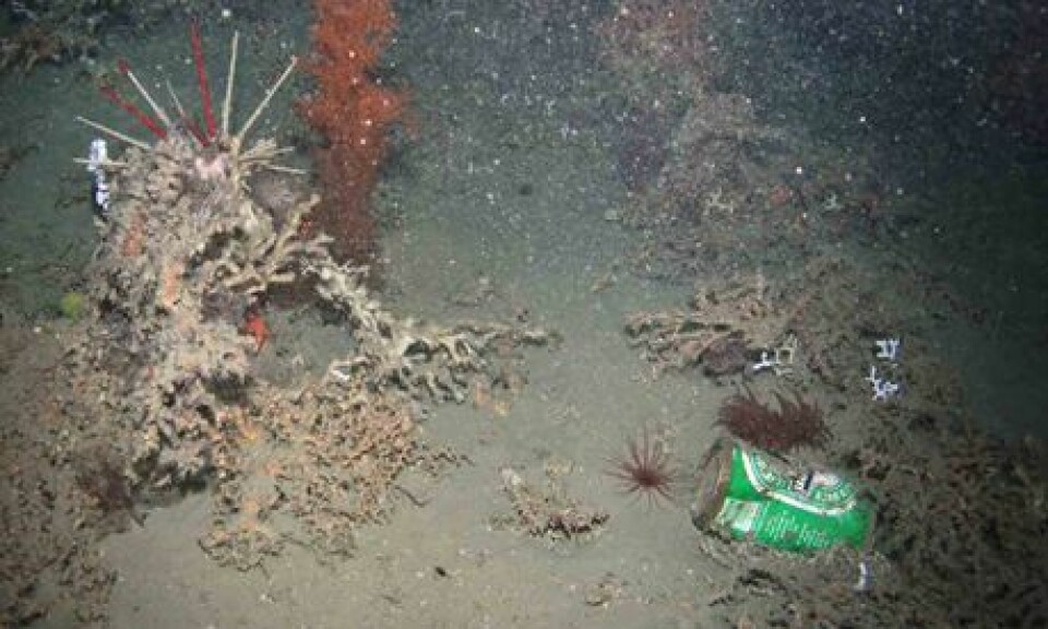 En ølboks ble funnet av en robot på 950 meter dyp. (Foto: Hermione Project/Plymouth University)
