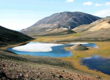 "Innsjø i arktisk Canada (Ellesmere Island). Perioden der dei arktiske innsjøane er isdekte, blir stadig kortare. (Foto: Bronwyn Keatley, Queen's University)" "Innsjø i arktisk Canada (Ellesmere Island). Perioden der dei arktiske innsjøane er isdekte, blir stadig kortare. (Foto: Bronwyn Keatley, Queen's University)"