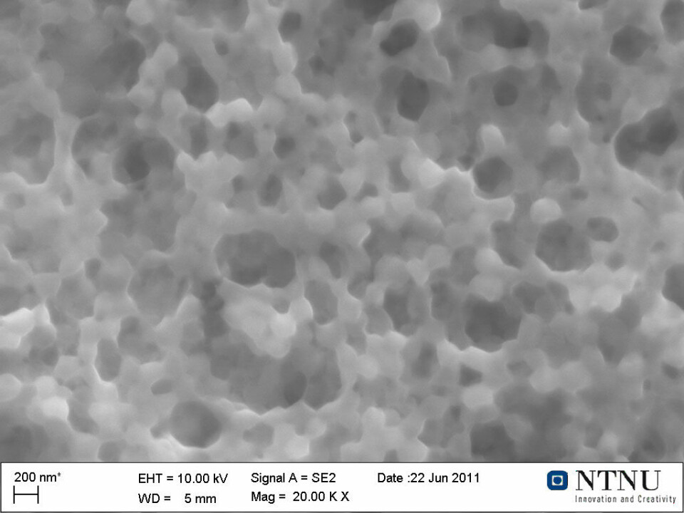Slik tar kapslene som inneholder dødehavsmineraler seg ut i et mikroskop (forstørrelse 10000x). (Foto: SINTEF)