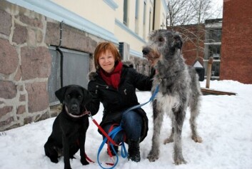 Randi Krontveit med Kiki og Nova. (Foto: Marit Stormoen) Randi Krontveit med Kiki og Nova. (Foto: Marit Stormoen)
