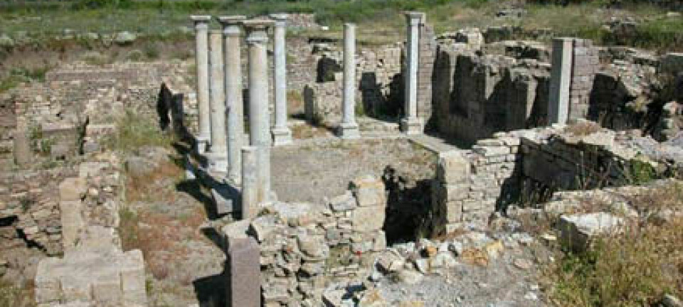 'Dette er bare en liten del av de romerske ruinene i Allianoi. (Foto: www.allianoi.org)'