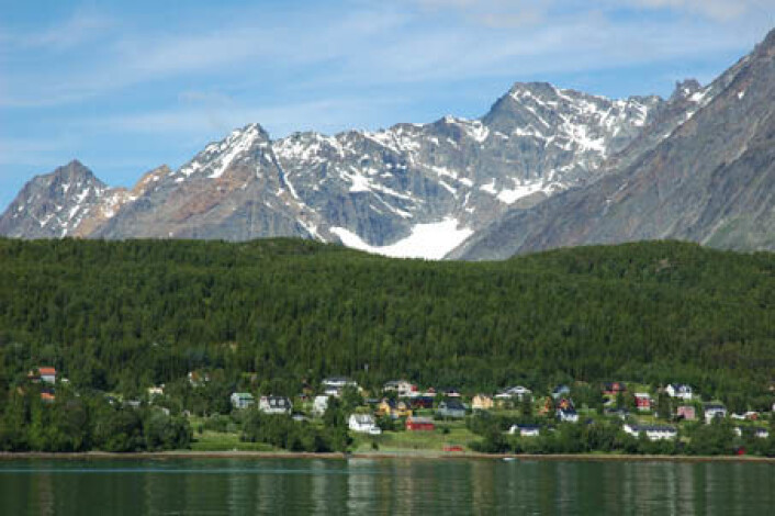 "Deler av Lyngseidet med Lyngsalpene i bakgrunnen." "Deler av Lyngseidet med Lyngsalpene i bakgrunnen."