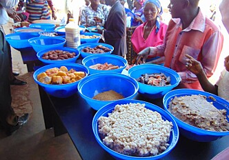 Interdisciplinary innovations boosting food security in Africa