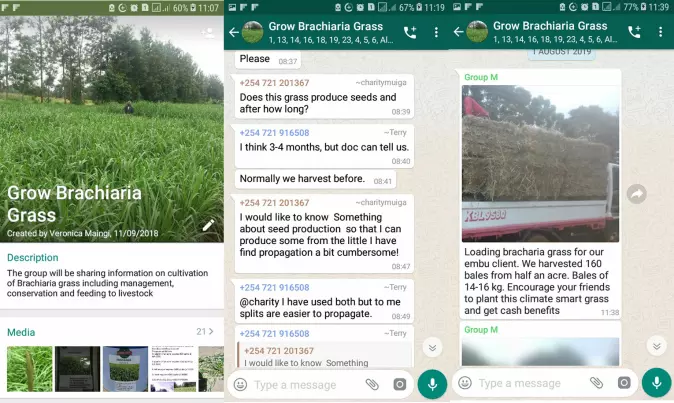 The Village Knowledge Centre in Kenya provides right and timely information on agriculture. Farmer networks are created to ensure connectivity and capacity building through WhatsApp and SMS. Here are some screenshots from a WhatsApp group about how to grow Brachiaria grass. The photo of Brachiaria grass to the left was taken by Mwangi Gatheru and the truck photo to the right was taken by a farmer.