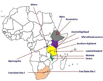 Ethiopia, Kenya, Malawi, Rwanda, Tanzania and South Africa make out the case study countries. The project operates in 24 project sites with different agro-ecological and socio-economic settings, with a focus on women and youth. Ethiopia, Kenya, Malawi, Rwanda, Tanzania and South Africa make out the case study countries. The project operates in 24 project sites with different agro-ecological and socio-economic settings, with a focus on women and youth.