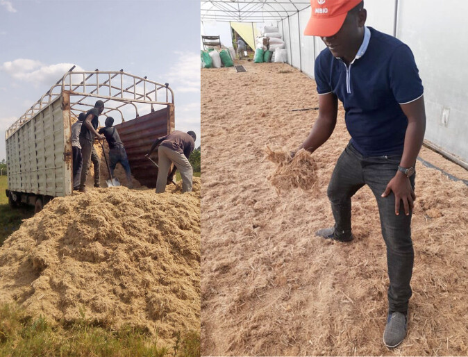 The picture shows wet sugarcane bagasse delivery (left) and drying in a greenhouse to the right. During the prolonged rainy season, drying bagasse outside in the sun was challenging. A custom-made green house with wind driven ventilator solves part of the problem, while reducing bagasse drying from 3 days to one day. Bagasse is normally very wet because the sugar cane itself is wet and on top, water is added during sugarcane crushing into juicing. The picture shows wet sugarcane bagasse delivery (left) and drying in a greenhouse to the right. During the prolonged rainy season, drying bagasse outside in the sun was challenging. A custom-made green house with wind driven ventilator solves part of the problem, while reducing bagasse drying from 3 days to one day. Bagasse is normally very wet because the sugar cane itself is wet and on top, water is added during sugarcane crushing into juicing.