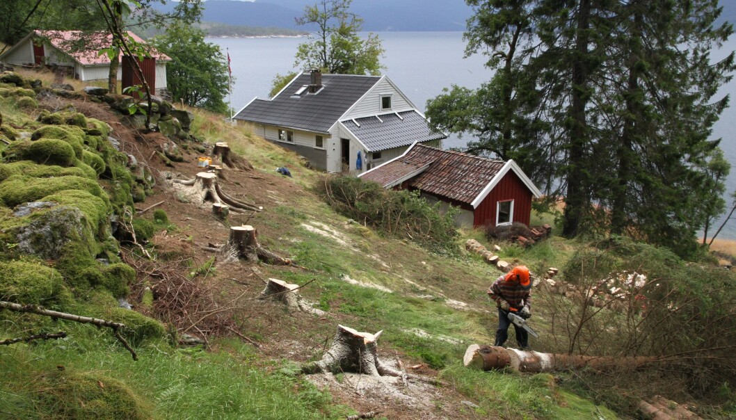 Eksempel på favorittstad for ein gjennomsnittsnordmann. Her er det fritt fram for å svinge motorsaga viss ein er misnøgd med utsikta. Standarden er elles enkel: null dusj eller varmtvatn i springen, og ingen bilveg. Tilgangen på mygg, klegg og knott, derimot, er upåklageleg. Foto: Inger Auestad Eksempel på favorittstad for ein gjennomsnittsnordmann. Her er det fritt fram for å svinge motorsaga viss ein er misnøgd med utsikta. Standarden er elles enkel: null dusj eller varmtvatn i springen, og ingen bilveg. Tilgangen på mygg, klegg og knott, derimot, er upåklageleg. Foto: Inger Auestad