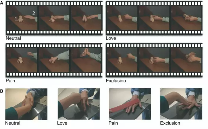 Deltagerne fikk se filmer av disse fire sekvensene, ment å vise forskjellige følelser. Bare kontrollgruppa hadde en spontan empatisk reaksjon på smerte og avvisning. (Foto: (Bilde: Meffert et al./Brain))