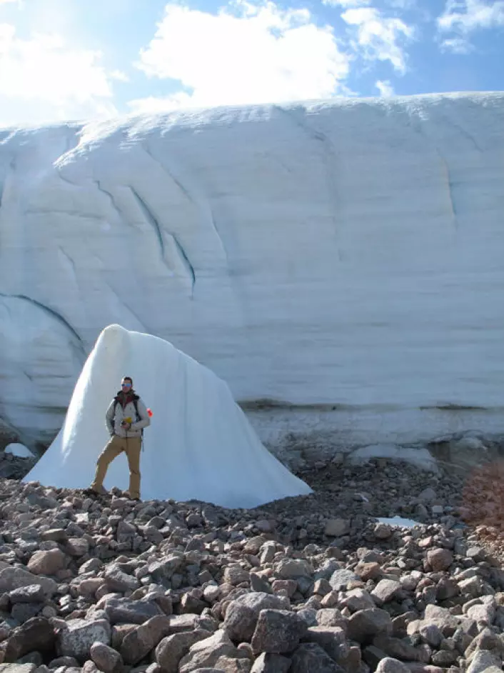 En av forskerne foran østgrensa av Teardrop-breen på Ellesmereøya. Der isen trekker seg tilbake dukker det fram gamle planterester. (Foto: Catherine La Farge)