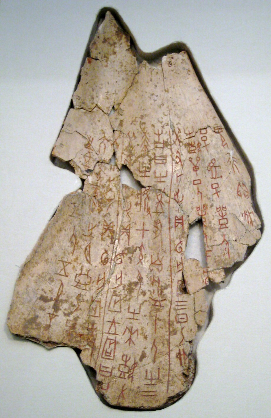 Det tidligste beviset på det kinesiske skriftsystemet er skåret inn i skulderbladet til en okse. Det er et såkalt orakelbein, som man varmet opp til det oppsto sprekker som man brukte til å forutsi framtiden – som var styrt av guder og forfedrenes ånd.