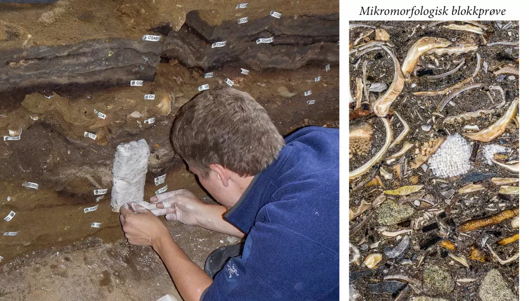 Haaland tar ut en sedimentprøve av kulturlagene i Blomboshula (t.v.). Etter å ha impregnert og herdet prøven, kan den kuttes opp og innholdet kan studeres i detalj, som bildet til høyre viser.
