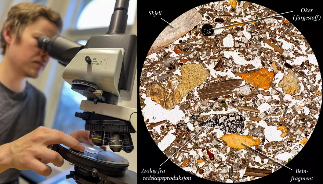 Magnus Haaland studerer ørsmå fragmenter i kulturlagene fra Blombos-hula gjennom mikroskop.