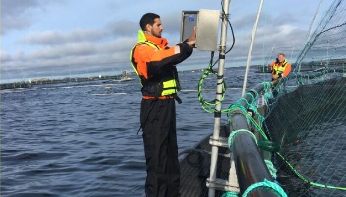 SICA deployed in one of the cages at SINTEF ACE facilities in Rataren by Hamid Er-Rachdi/CTN. SICA deployed in one of the cages at SINTEF ACE facilities in Rataren by Hamid Er-Rachdi/CTN.